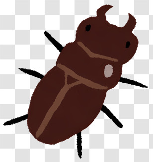 Insect - Brown Beetle Illustration Transparent PNG