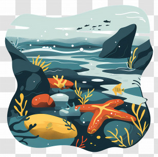 Tidepool - Underwater Coral Reef Scene Illustration Transparent PNG