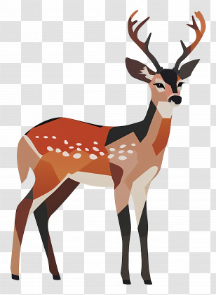 Deer - Graceful Deer Illustration With Antlers Transparent PNG
