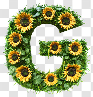 Letter G - Letter G With Sunflowers Transparent PNG