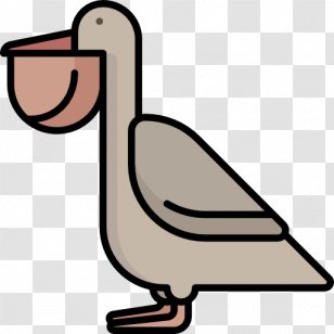 Beak Pelican Bird Clip Art - Fauna Transparent PNG