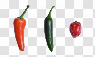 Habanero Serrano Pepper Bird's Eye Chili Tabasco Pasilla - Silhouette - Formentera Transparent PNG