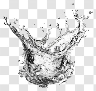 The Splash Of Water - Black And White Water Splash With Droplets Transparent PNG