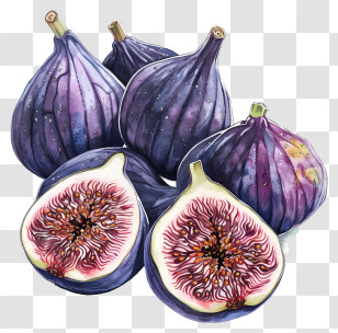 Figs - Fresh Purple Figs Illustration Transparent PNG