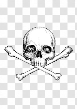 Death Vector Graphics Image Illustration - Halloween - Skull And Crossbones  Icons Transparent PNG