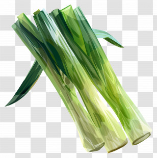 Leeks - Illustration Of Fresh Green Leeks Transparent PNG