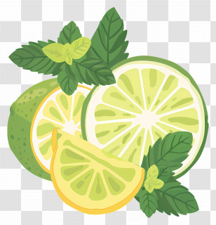 Green Lemon - Lime Wedges And Mint Leaves Transparent PNG
