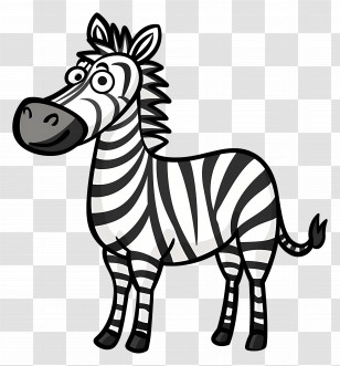 Cartoon Zebra - Cartoon Zebra With Stripes Transparent PNG