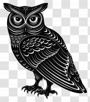 Owl - Black And White Intricate Owl Illustration Transparent PNG