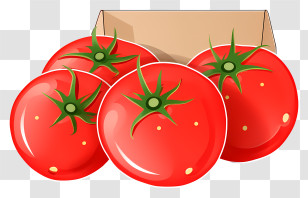 Ripe Tomatoes - Red Tomatoes In A Box Illustration Transparent PNG