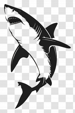 Shark - Black And White Shark Illustration Transparent PNG