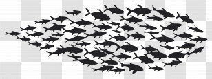 Group Of Fish - Silhouettes Of A School Of Fish Transparent PNG
