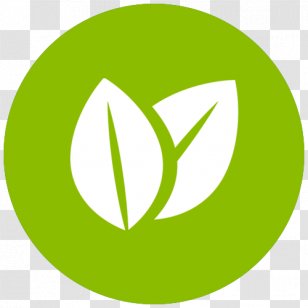 Energy Conservation Efficient Use Star Efficiency - Green Transparent PNG