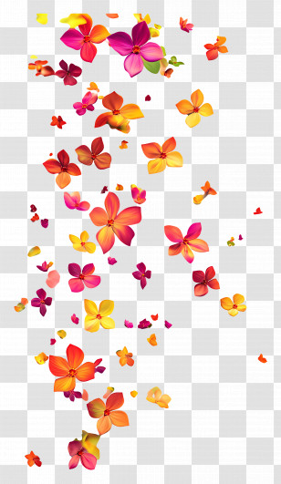 Falling Flowers - Colorful Falling Flower Petals Transparent PNG