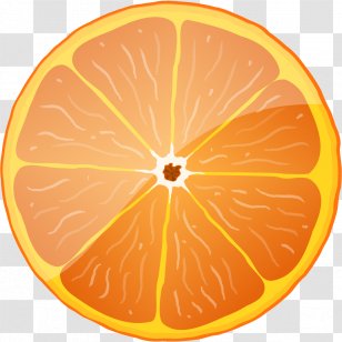 Blood Orange Royalty-free Clip Art - Drawing - Enough Refreshing Transparent PNG