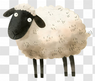 Cartoon Sheep Illustration - Cartoon Sheep Illustration In Pastoral Style Transparent PNG