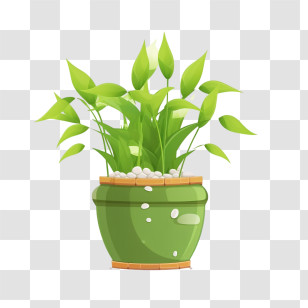 Lucky Bamboo
 - Green Potted Plant For Home Decor Transparent PNG