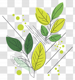 Spring Leaf - Abstract Green Leaves Illustration Transparent PNG