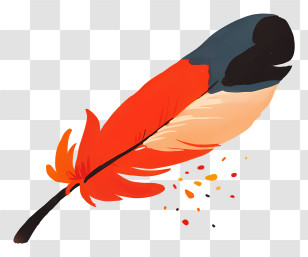 Feather Doodle - Vibrant Feather Illustration Transparent PNG