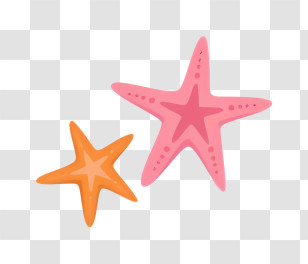 Beach - Colorful Starfish Illustration Transparent PNG