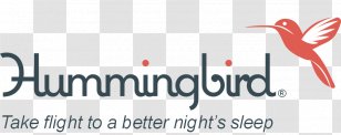 Cloud 9 Mattress Superstore Adjustable Bed Serta - Ruby-throated Hummingbird Transparent PNG