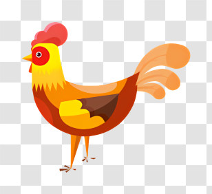 Chicken - Colorful Rooster Illustration Transparent PNG