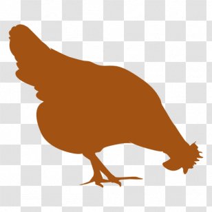 Brahma Chicken Rhode Island Red Sussex Broiler Leghorn - Poultry - Livestock Transparent PNG