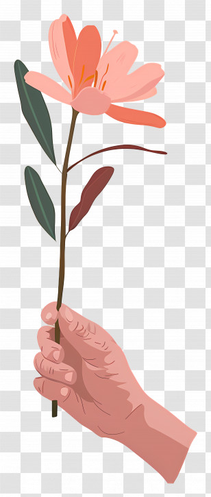World Kindness Day - Hand With Flower Illustration Transparent PNG
