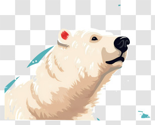 Polar Bear - Polar Bear Head Illustration Transparent PNG