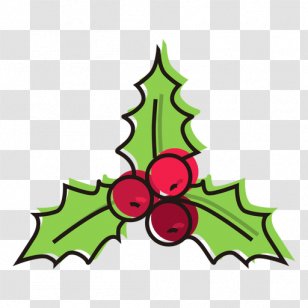 Mistletoe Holly Drawing Clip Art - Green Transparent PNG