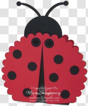 Vector Graphics Picture Frames Image Design Illustration - Label - Bug Wings Crafts Transparent PNG