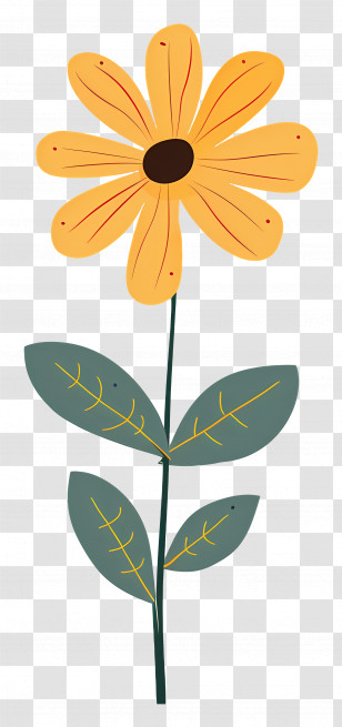 Yellow Daisy - Cartoon Yellow Daisy Flower Illustration Transparent PNG