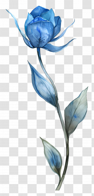 Watercolour Flowers - Elegant Blue Rose Drawing Transparent PNG