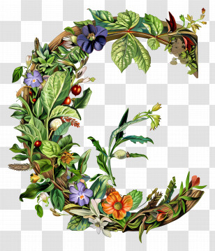 Letter C - Artistic Letter E With Floral Leaves Transparent PNG