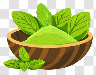 Stevia Leaf - Bowl Of Green Powder And Fresh Leaves Transparent PNG