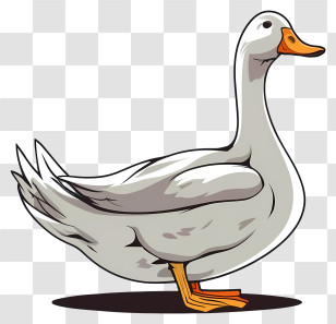 White Goose - White Duck Illustration In Cartoon Style Transparent PNG