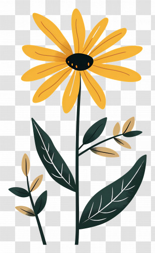Yellow Daisy - Yellow Flower With Green Leaves Illustration Transparent PNG