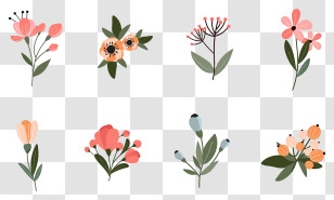 Floral Images - Collection Of Flower Illustrations In Minimalist Style Transparent PNG
