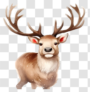 Brown Deer - Realistic Reindeer With Antlers Transparent PNG