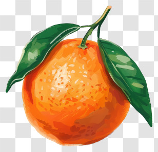 Orange Fruit - Orange Fruit With Leaves Illustration Transparent PNG