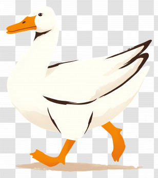 White Goose - Walking Duck Illustration Transparent PNG