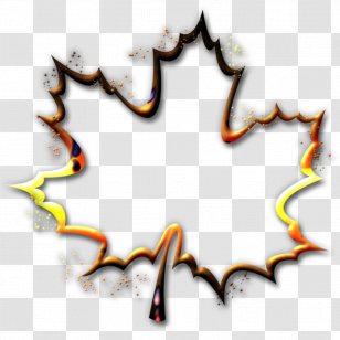 Leaf Tree Drawing Clip Art - Painting - D Vector Transparent PNG
