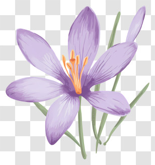 Flax Flower - Purple Crocus Flower With Stem Transparent PNG