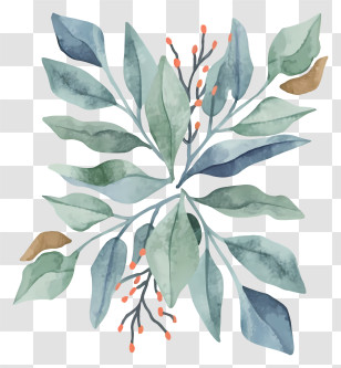 Watercolor Painting - Watercolor Leaves With Branches Transparent PNG