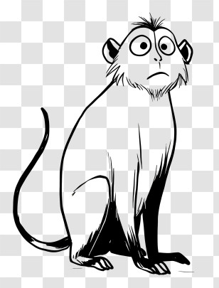 Monkey Outline - Cartoon Monkey With Curious Expression Transparent PNG