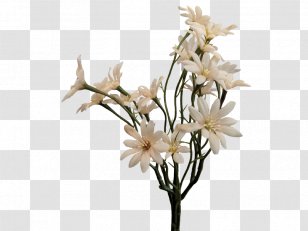 Sea Aster Cut Flowers Artificial Flower Plant Stem - Branch Transparent PNG