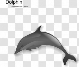 Common Bottlenose Dolphin Short-beaked Tucuxi White-beaked Clip Art Transparent PNG