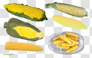 Corn On The Cob Sweet Summer Squash Clip Art Transparent PNG