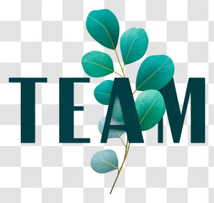 Team - Team Text Logo With Leaves Transparent PNG