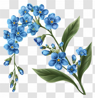 Blue Flowers - Beautiful Blue Forget-Me-Not Flower Illustration Transparent PNG
